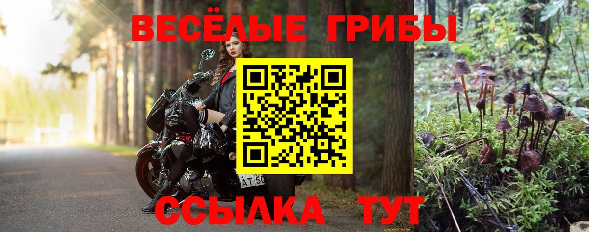 Галлюциногенные грибы ЛСД Верхняя Пышма