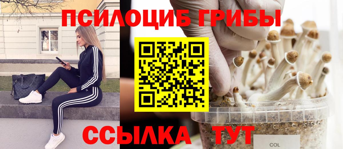 Верхняя Пышма  Псилоцибиновые грибы ЛСД  Вход с VPN  Галлюциногенные грибы MAGIC MUSHROOMS 